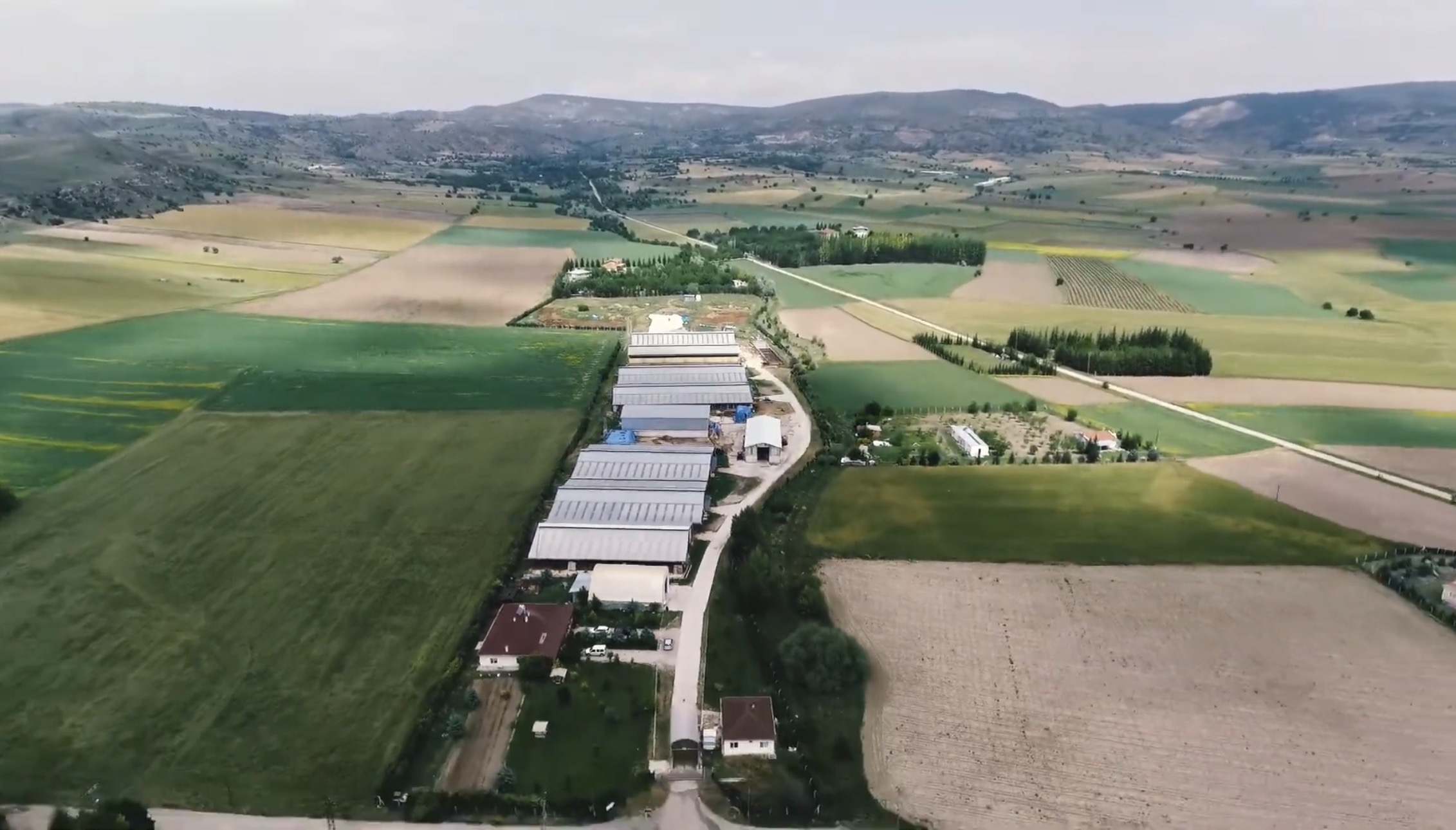 Ayvetsan Canlı Hayvan Marketi